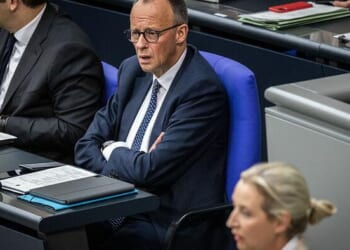 Will The AfD Party Be Banned In Germany?