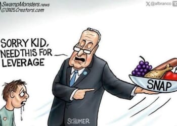 Democrats Conveniently Weigh Ending Record Shutdown After Socialist Wins NYC Mayoral Race