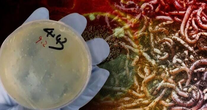 3 More Chinese Researchers Charged With Smuggling Biological Materials Into US