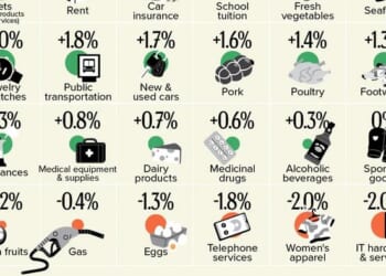 Eggs, Gas, & Women's Clothing Prices Down; Beef, Smokes, & Electricity Up In 2025