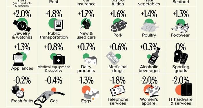 Eggs, Gas, & Women's Clothing Prices Down; Beef, Smokes, & Electricity Up In 2025
