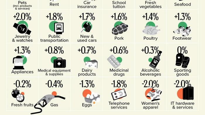 Eggs, Gas, & Women's Clothing Prices Down; Beef, Smokes, & Electricity Up In 2025