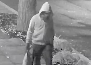 94% Match: New Clues Emerge In Jan. 6 Pipe Bomber Identity