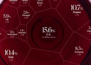 Which Countries Drink The Most Wine?
