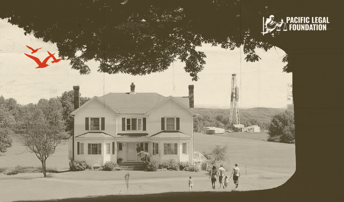 Dispatch Energy - Week 7 image 111325