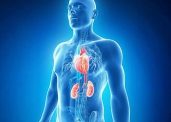 New Heart-Kidney Syndrome Affects 90% Of Americans... And You've Probably Never Heard Of It