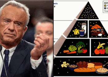 RFK Jr. May Revive Food Pyramid Focused On Whole Foods