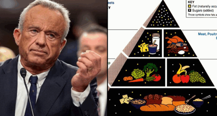 RFK Jr. May Revive Food Pyramid Focused On Whole Foods