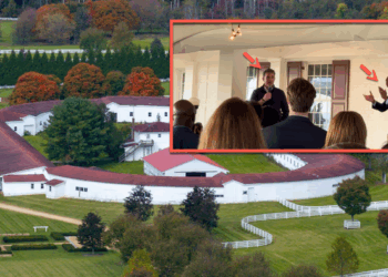 Emails Reveal Under Armor CEO Urged Maryland To Buy Horse Farm After No Buyers - Will Gov. Moore Return Favor?