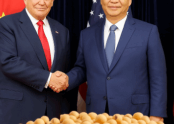 Beijing Jumps Back Into US Soybean Market, Snaps Up 20 Cargo Loads After Abrupt Pause 