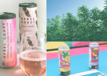 How to Destroy a Multibillion-Dollar Industry at Lobbyists’ Request