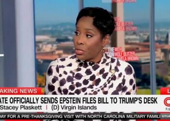 Democrat Plaskett Digs Deeper Grave On Epstein Ties