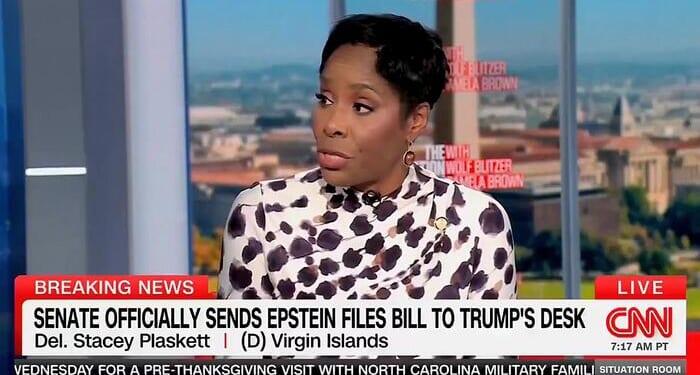 Democrat Plaskett Digs Deeper Grave On Epstein Ties