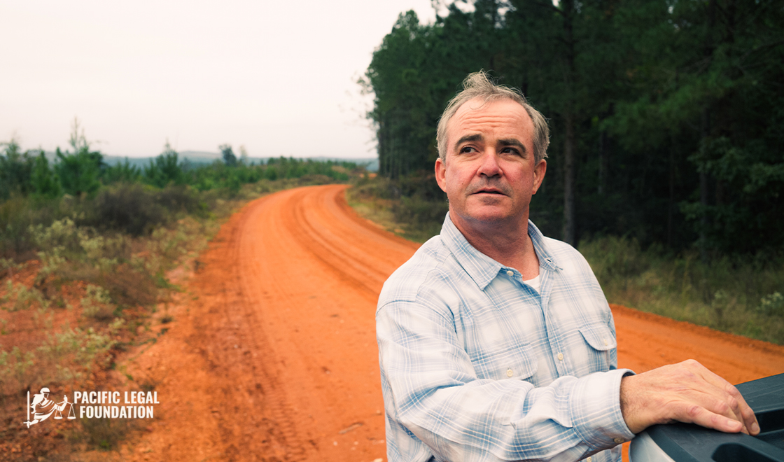 Dispatch Energy - Week 8 Image 112025