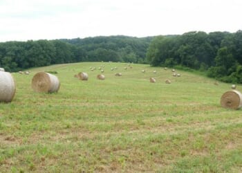 New MAGA Weapon: 'Fight Tanks' For Rural America