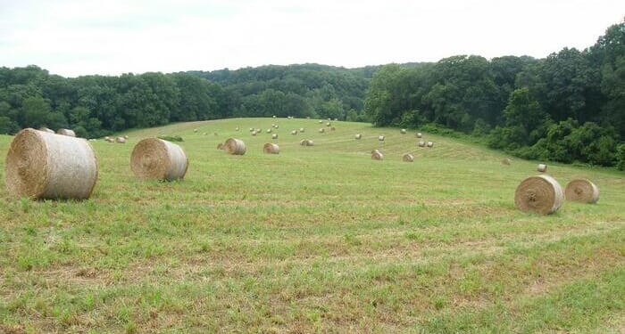 New MAGA Weapon: 'Fight Tanks' For Rural America