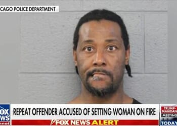 Chicago's Revolving Door Of Doom: 72 Prior Arrests Revealed For Train Torcher