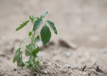 Geoengineering Is No Longer Just A Theory