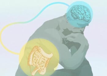 The Mystery Of Intuition: Where Gut Feelings Really Come From