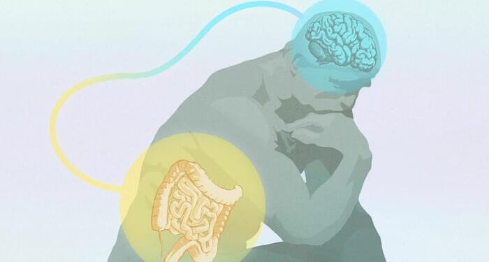 The Mystery Of Intuition: Where Gut Feelings Really Come From