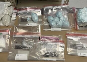 Fentanyl Trafficking Rings Run By Illegal Immigrants Dismantled Across Washington