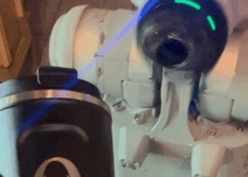 China Issues Rare Bubble Warning Forming In Humanoid Robotics