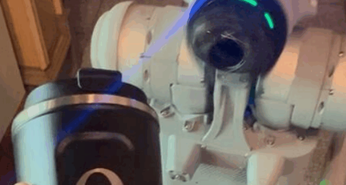 China Issues Rare Bubble Warning Forming In Humanoid Robotics