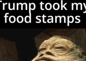 700,000 Ineligible SNAP Recipients Purged After USDA Uncovers Widespread Food Stamp Fraud