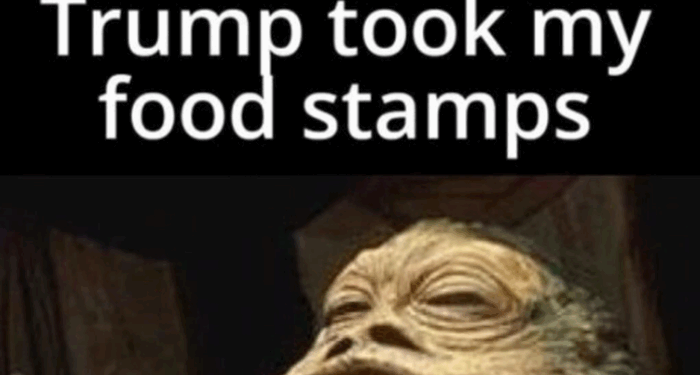 700,000 Ineligible SNAP Recipients Purged After USDA Uncovers Widespread Food Stamp Fraud