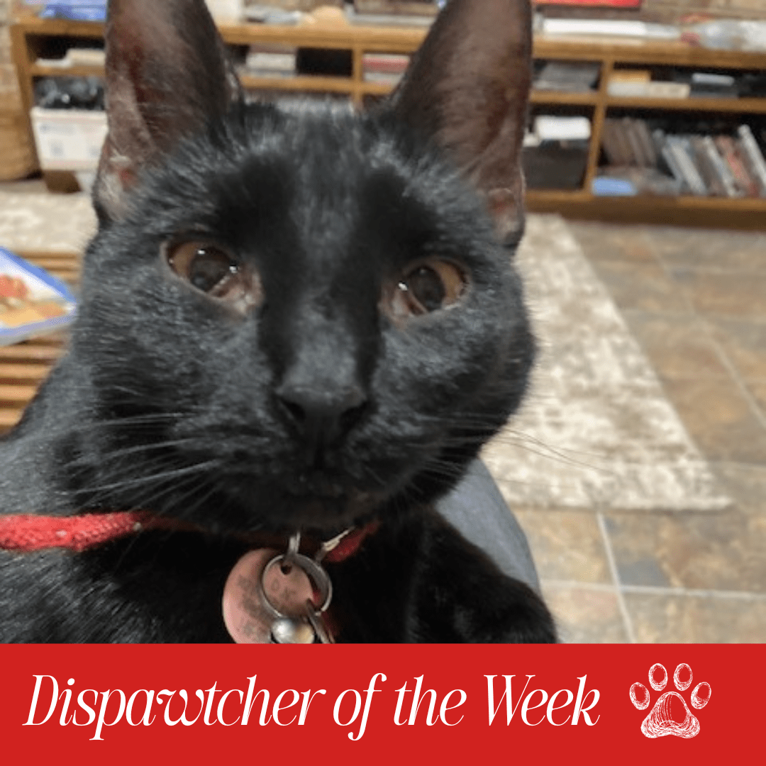 Copy of Dispawtch of the Week (6)