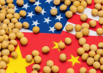 China's Purchases Of US Soybeans Abruptly Stops 