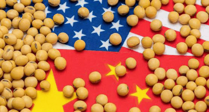 China's Purchases Of US Soybeans Abruptly Stops 