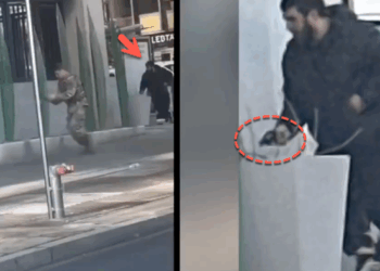 Guard Member Dies After Potential DC 'Terrorist' Attack;Â Trump Pushes Emergency Migration Freeze Amid Homeland Threat