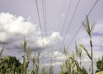 Lawrence Berkeley National Laboratory Reports on Rising Electricity Rates