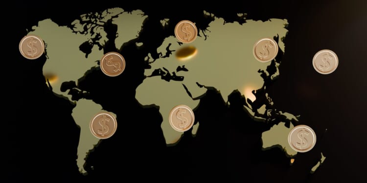 The Different Worlds of Wealthy Nations and Developing Countries 