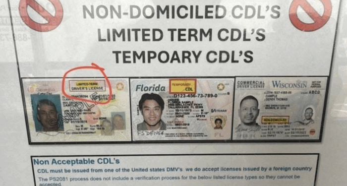 USPS Built Mail System On Foreign Truck Drivers, Now Expects Special Treatment From Law