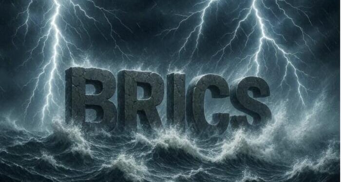 How Resilient Is BRICS In The Storm Of Geopolitics?