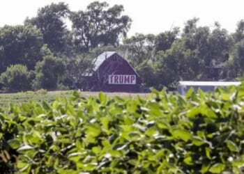 Trump Expected To Roll Out $12 Billion Farm Aid Program Today