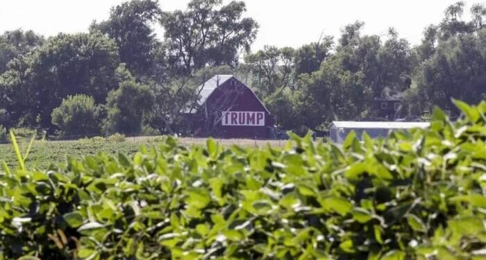 Trump Expected To Roll Out $12 Billion Farm Aid Program Today