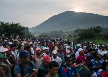 Jim Quinn On The West's Mass Collective Societal Suicide