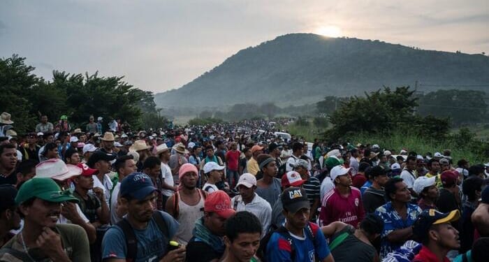 Jim Quinn On The West's Mass Collective Societal Suicide