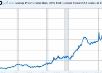 "Democrats Know Their Constituents Can't Read Charts. That's Why..."