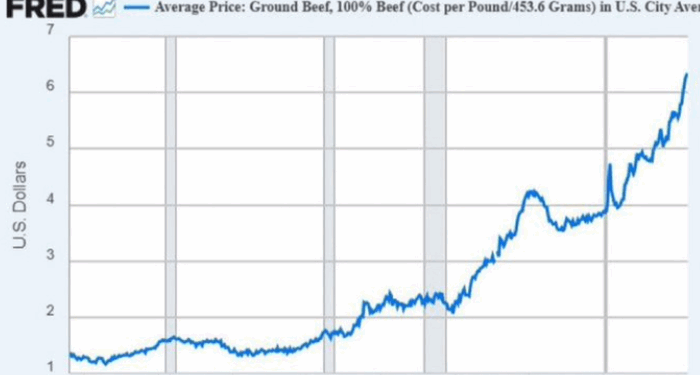 "Democrats Know Their Constituents Can't Read Charts. That's Why..."