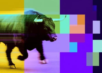 Interactive Brokers Now Accepts Stablecoins In Bid To Remain Competitive