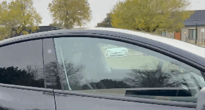 Goldman's First Take On Safety Monitor-Free Robotaxis In Austin