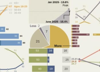 Pew Research's 'Most Striking' Findings From 2025