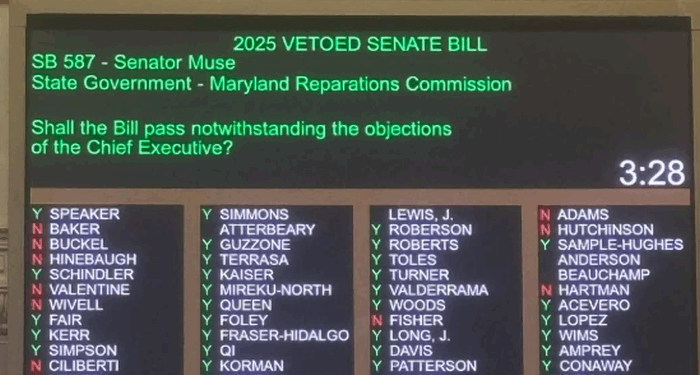 One-Party-Rule Maryland Democrats Ignore Power Bill Crisis, Push Ahead With Slavery Reparations Study