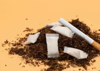Why Governments Prefer Cigarette Revenue Over Safer Alternatives
