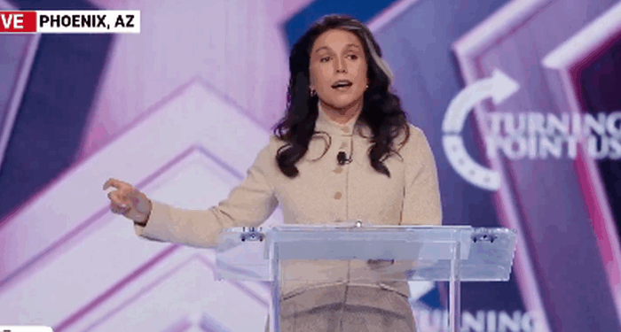 Tulsi Gabbard Sounds Alarm On Radical Islam Weeks After Rubio Warns Of Western Invasion