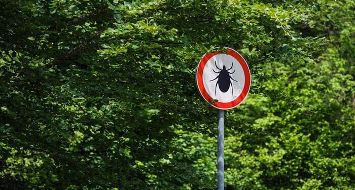 After Decades Of Dismissal, Chronic Lyme Disease Is Now Getting Recognized